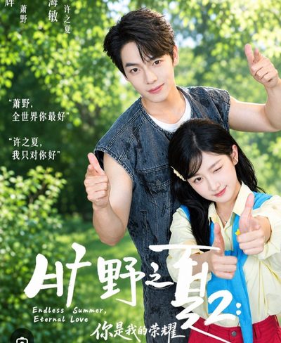 Capa da minisserie Verão sem Fim, Amor Eterno 2